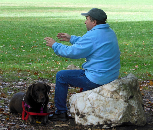 Reiki for Parkinson's disease